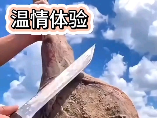 百度小说《温情体验》哔哩哔哩bilibili