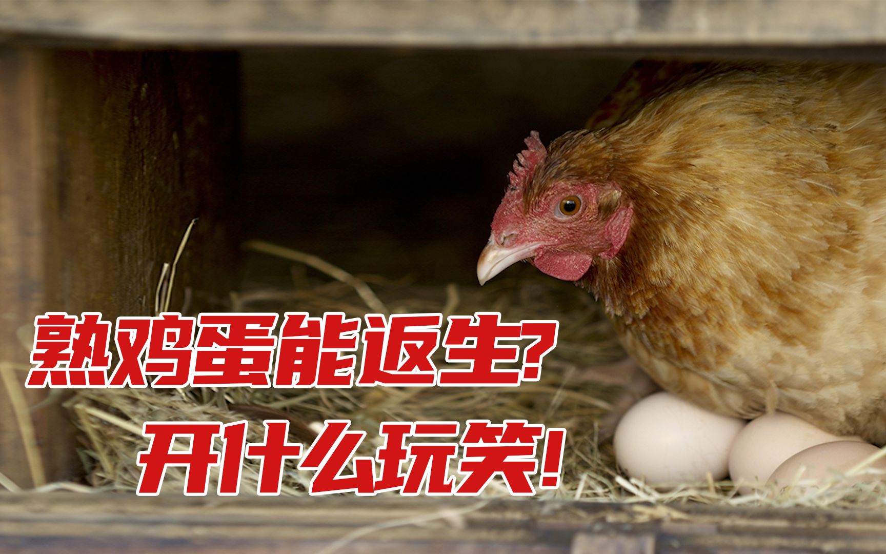 熟蛋返生能孵小鸡?逆天研究惹群嘲,"熟蛋返生"的作者究竟是何方神圣?