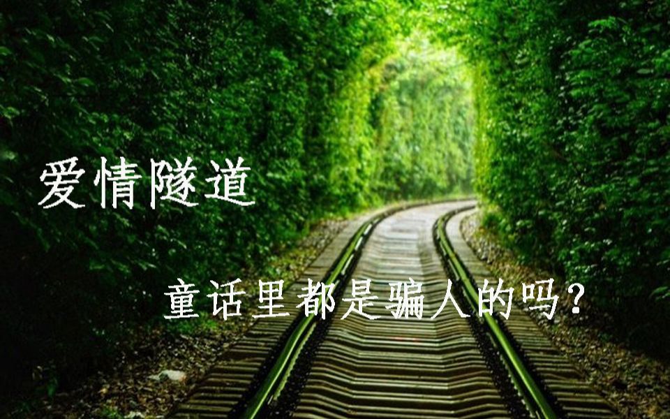 南京江宁爱情隧道|童话里都是骗人的?哔哩哔哩bilibili