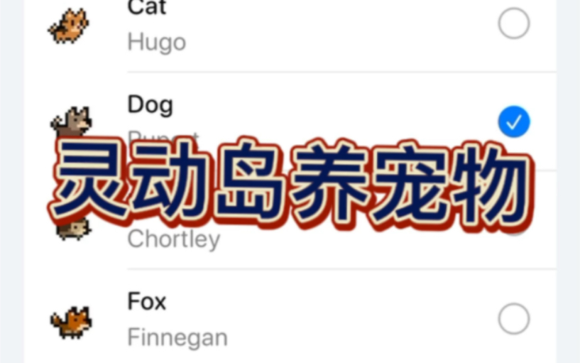 [图]如何在灵动岛上养宠物？