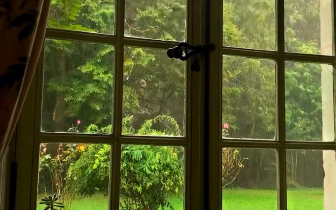 [图]下雨天太适合宅家欣赏窗景了