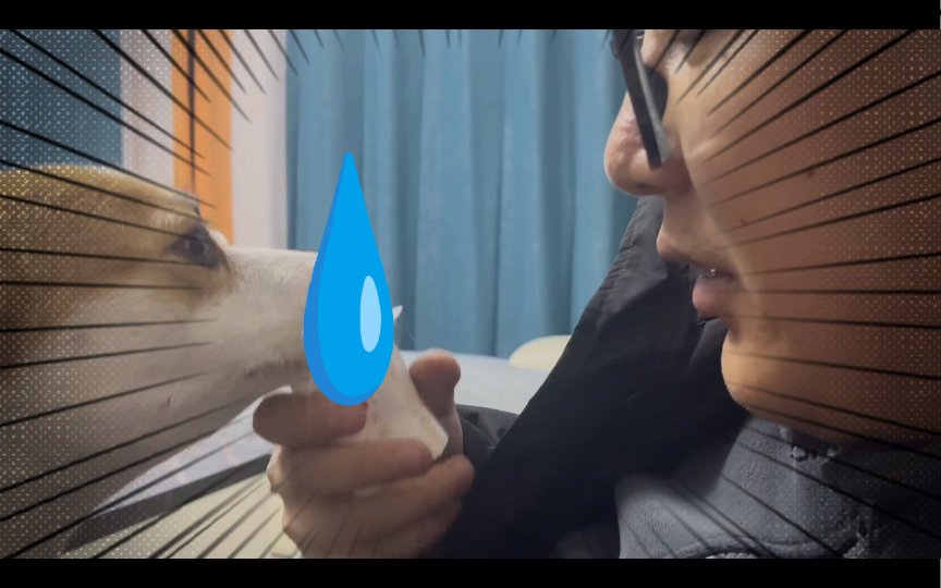 【小狗日记】之疯狂小狗舔瓶盖