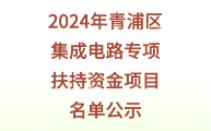 2024年青浦区集成电路专项扶持资金拟支持项目名单公示哔哩哔哩bilibili