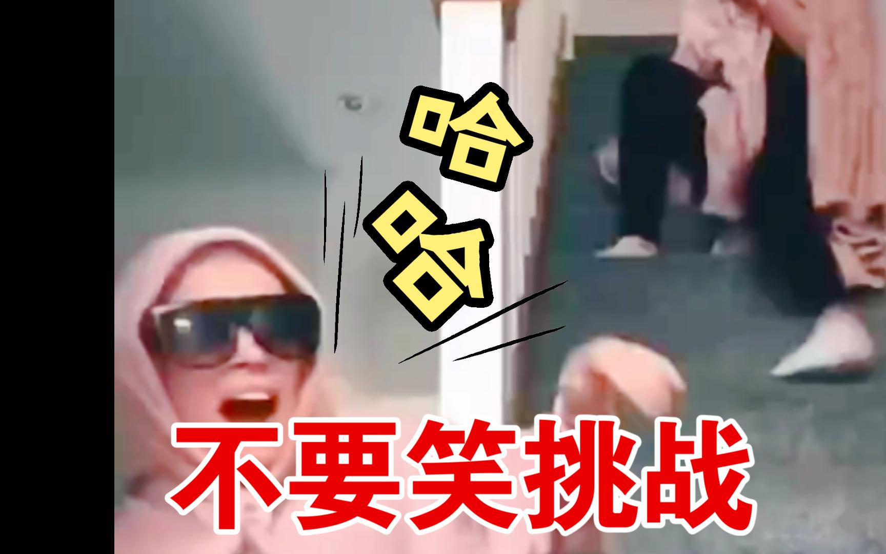 不要笑挑战 笑鼠我了