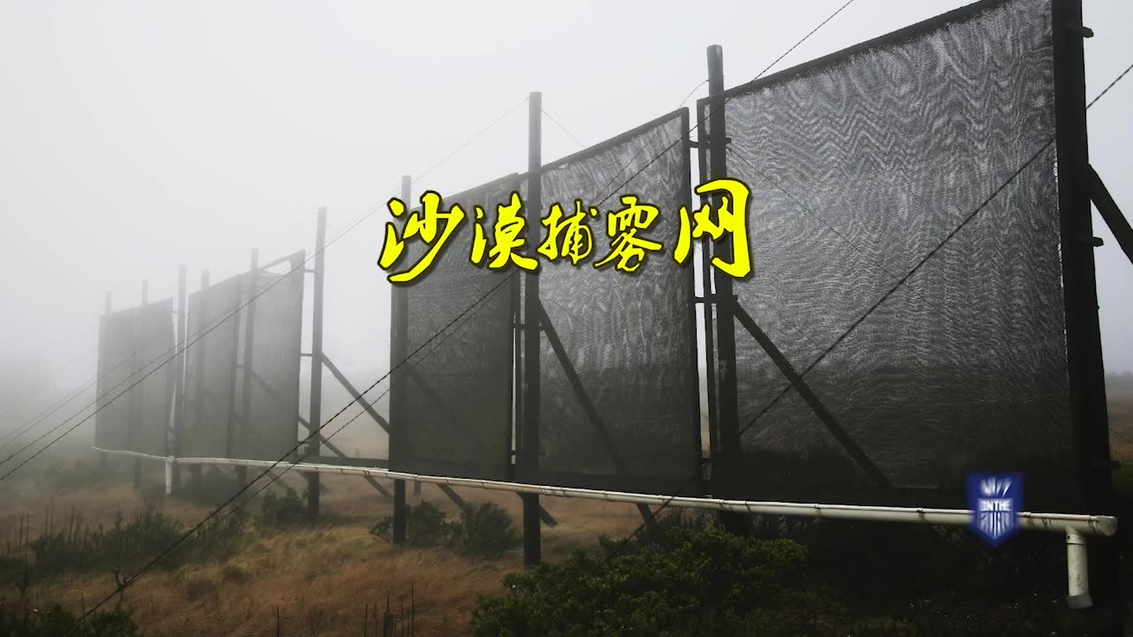 沙漠中的奇特装置—捕雾网,你知道长什么样子吗?_哔哩哔哩_bilibili