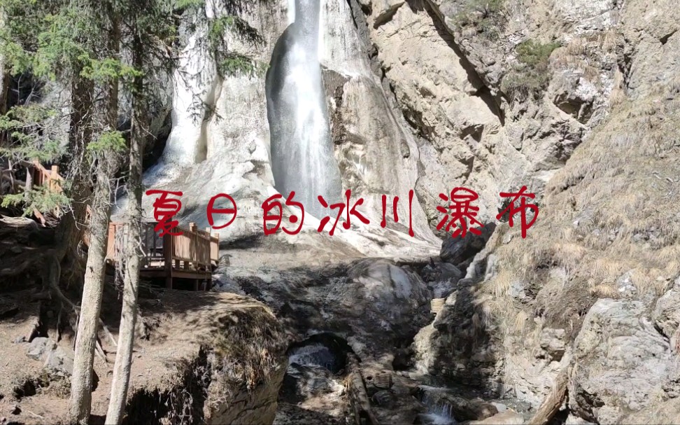 大美新疆~五一南山牧场白杨沟之旅哔哩哔哩bilibili