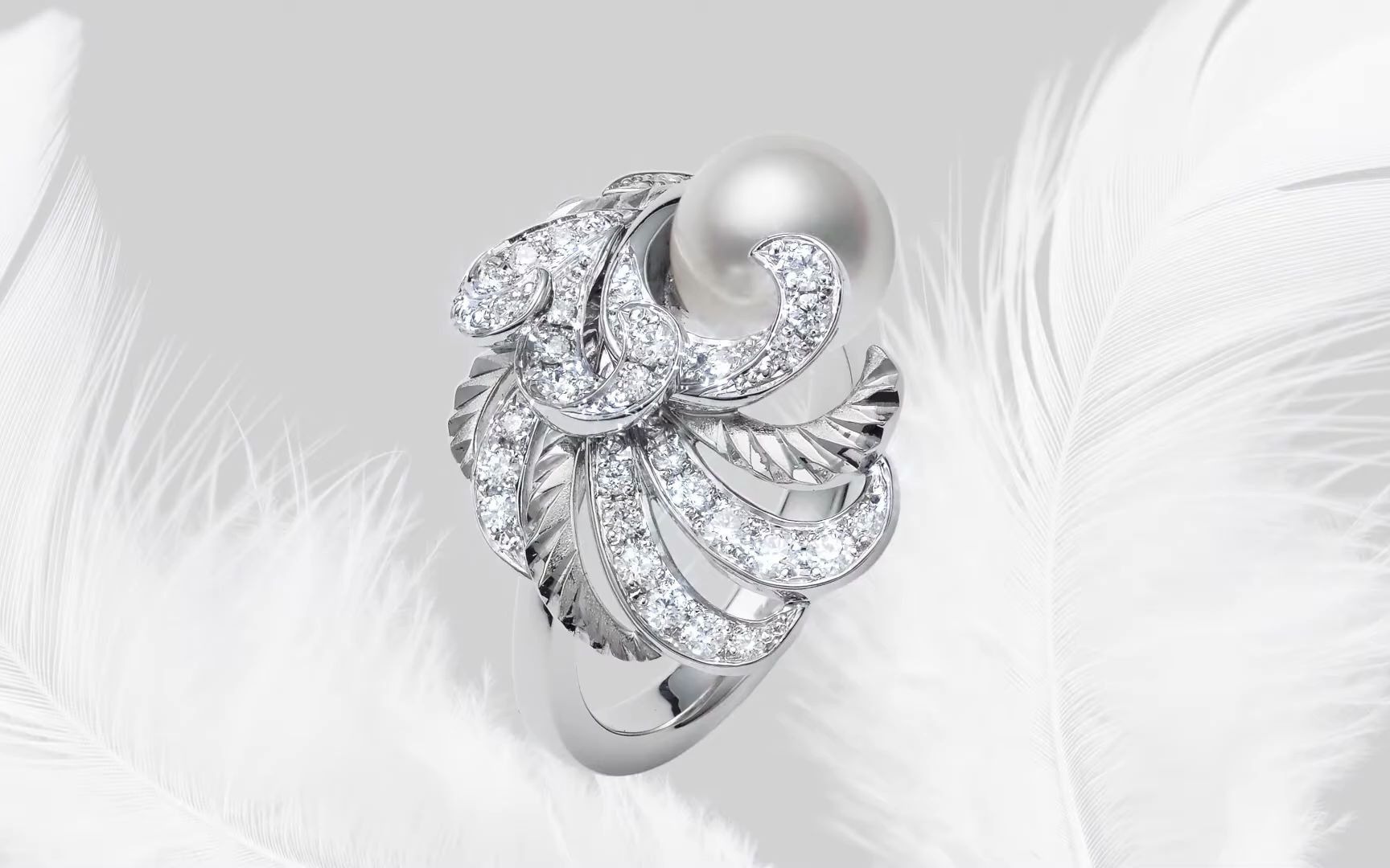 mikimoto的feather羽毛系列