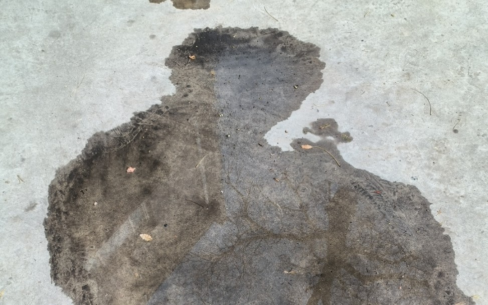 一摊坤水,小水洼露出鸡脚了吧