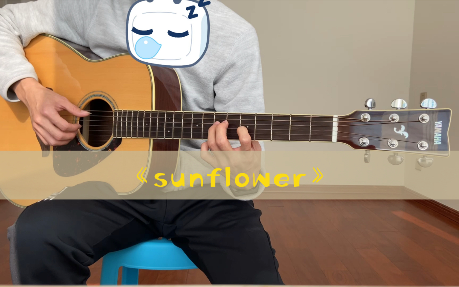 吉他指弹孙培博太阳花sunflower