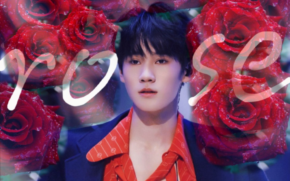 【张真源】暗夜里的红玫瑰