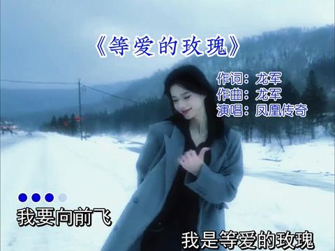 开车配上《等爱的玫瑰》感觉马力都大些吧?