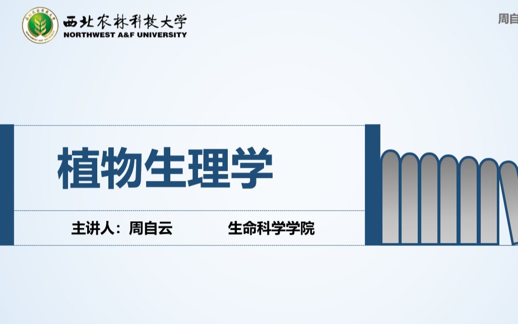 研究生入学考试该如何准备哔哩哔哩bilibili