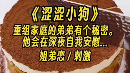 【涩涩小狗】我也发现了姐姐的秘密.姐姐写的小po文里,男主是我...哔哩哔哩bilibili