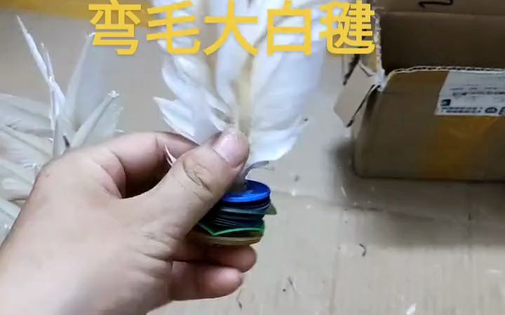 推荐一款大白毽,东方燕品牌,四个尺寸14、15、16、17厘米;新手初学可以选择17厘米或者16厘米,速度适中,容易上手;有一定基础的毽友可以选择15...