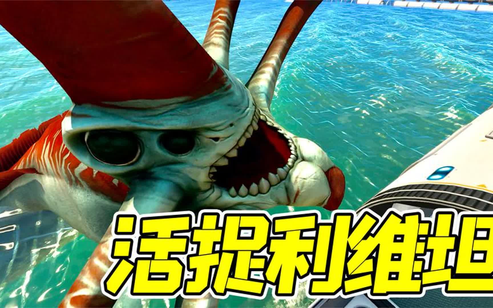 深海迷航13:费时12天,活捉死神利维坦!