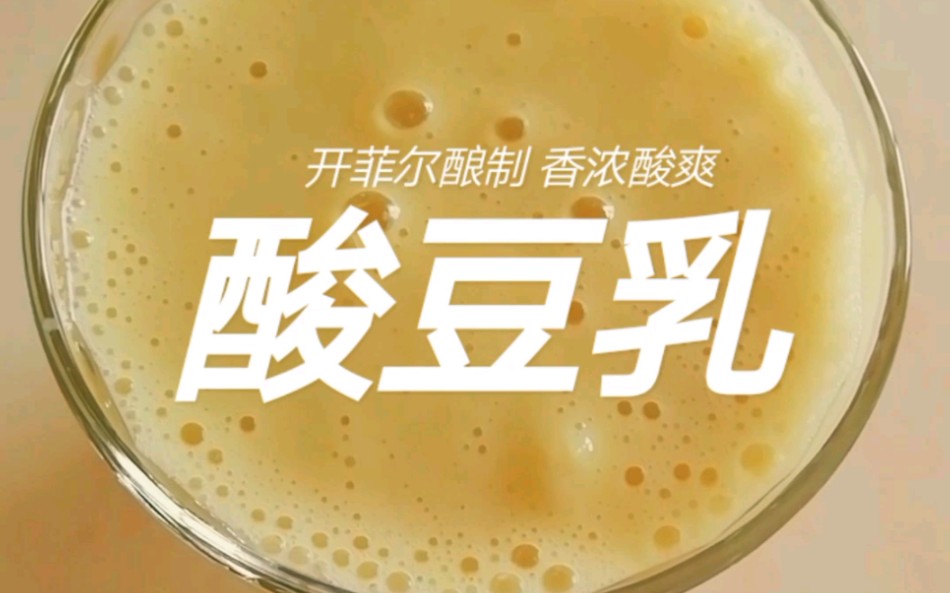 kefir开菲尔酿制酸豆乳哔哩哔哩bilibili