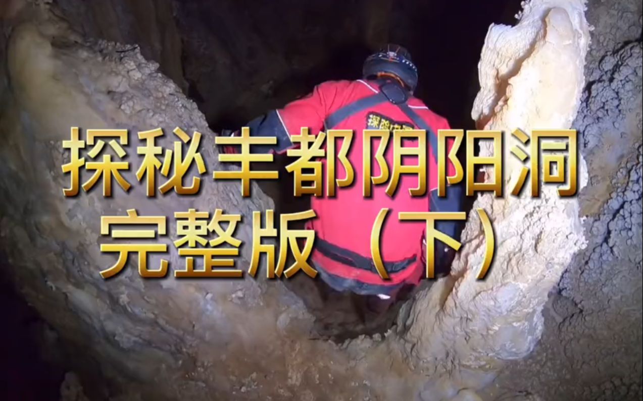 视频去哪了呢?_哔哩哔哩_bilibili