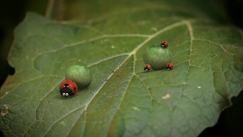 [图]01_昆虫总动员第二季_1080P在线观看平台_腾讯视频