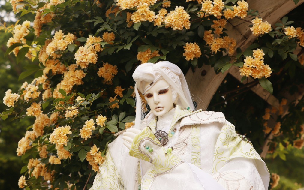 金光布袋戏别小楼大偶外拍君有才能纵捭阖清溪仰望有遥星