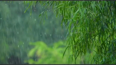 宋词里最苍凉的一场雨,700多年来无人能出其右,初读就已断人肠哔哩哔哩bilibili