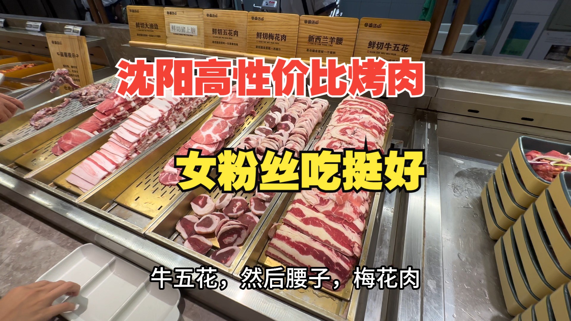 沈阳百元烤肉自助排队王,菜品种类多品质稳定,女粉丝吃挺好哔哩哔哩bilibili