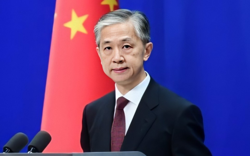 汪先生人间惊鸿客