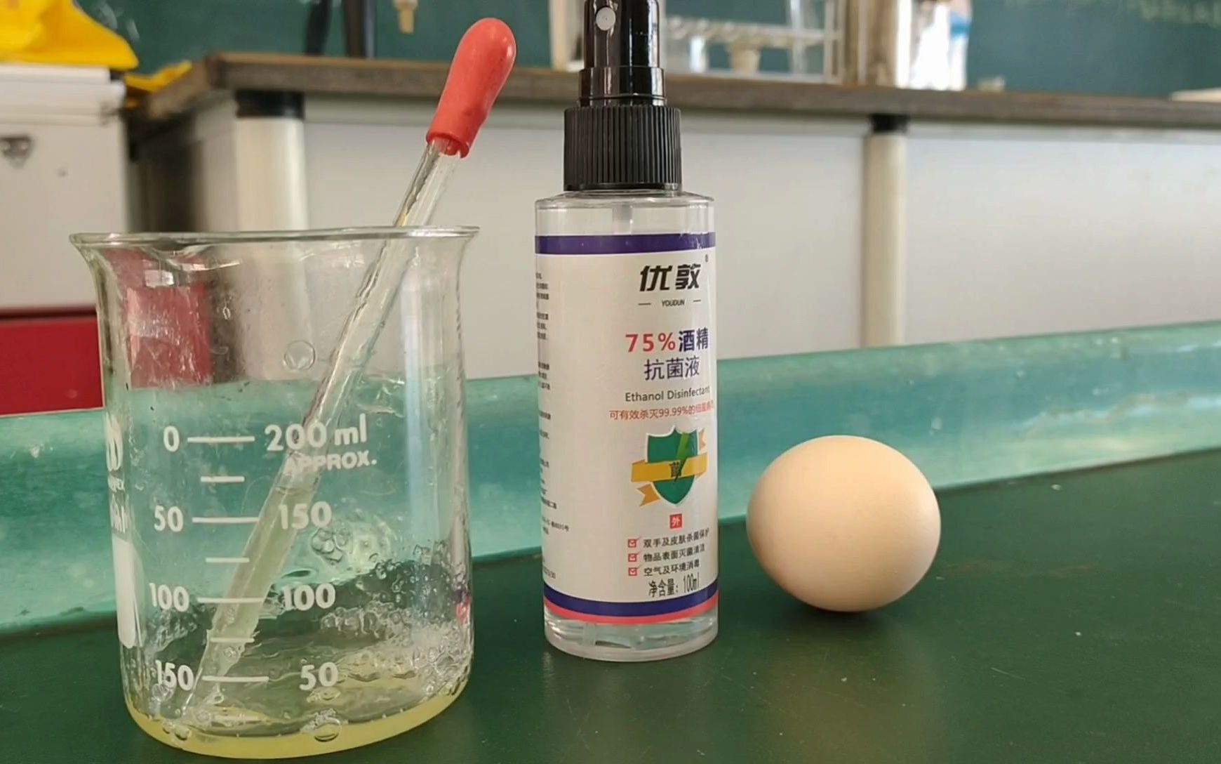 蛋白质的变性实验