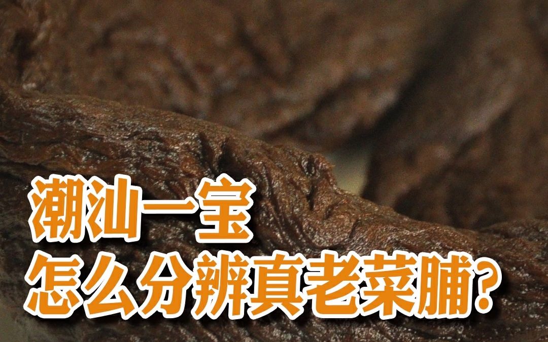 【潮菜叶飞】潮汕老菜脯!怎么分辨真假呢?!哔哩哔哩bilibili