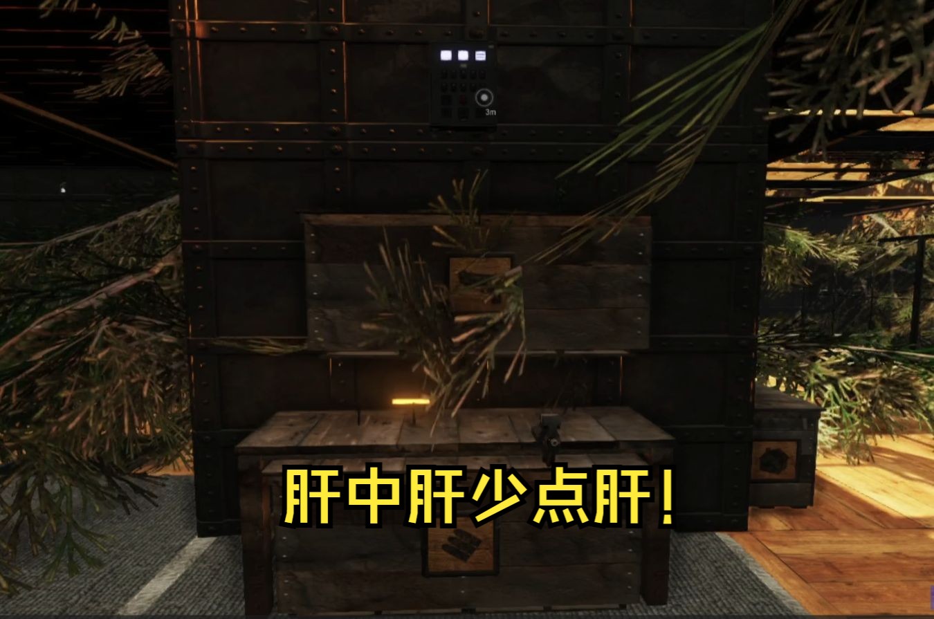 [图]《subsistence/生存边缘》：大论武器等级和医疗包的抉择