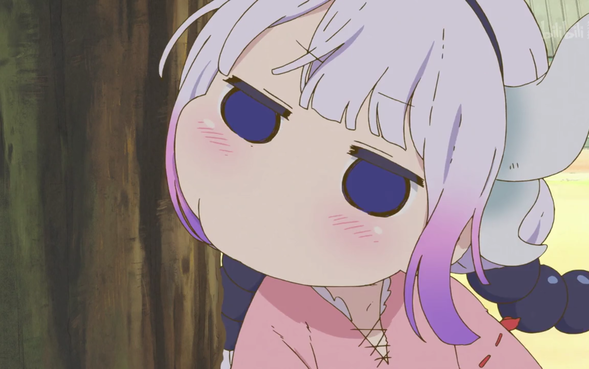 你竟然在b站看兔子吃苹果