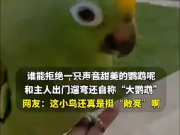 Télécharger la video: 谁能拒绝一只声音甜美的鹦鹉呢， 和主人出门遛弯还自称“大鹦鹉”，网友：这小鸟还真是挺“敞亮”啊！