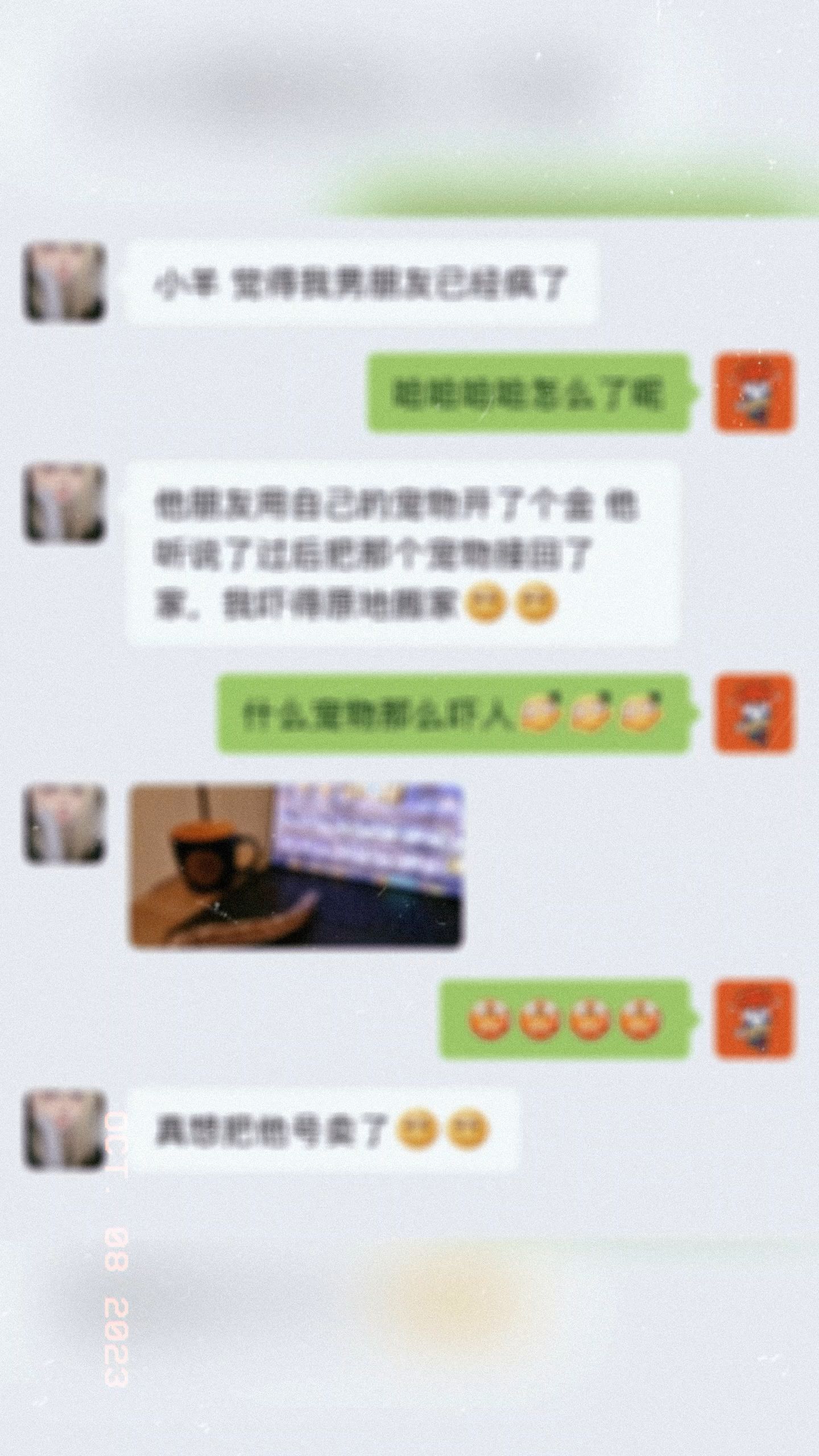 蛇院顶流