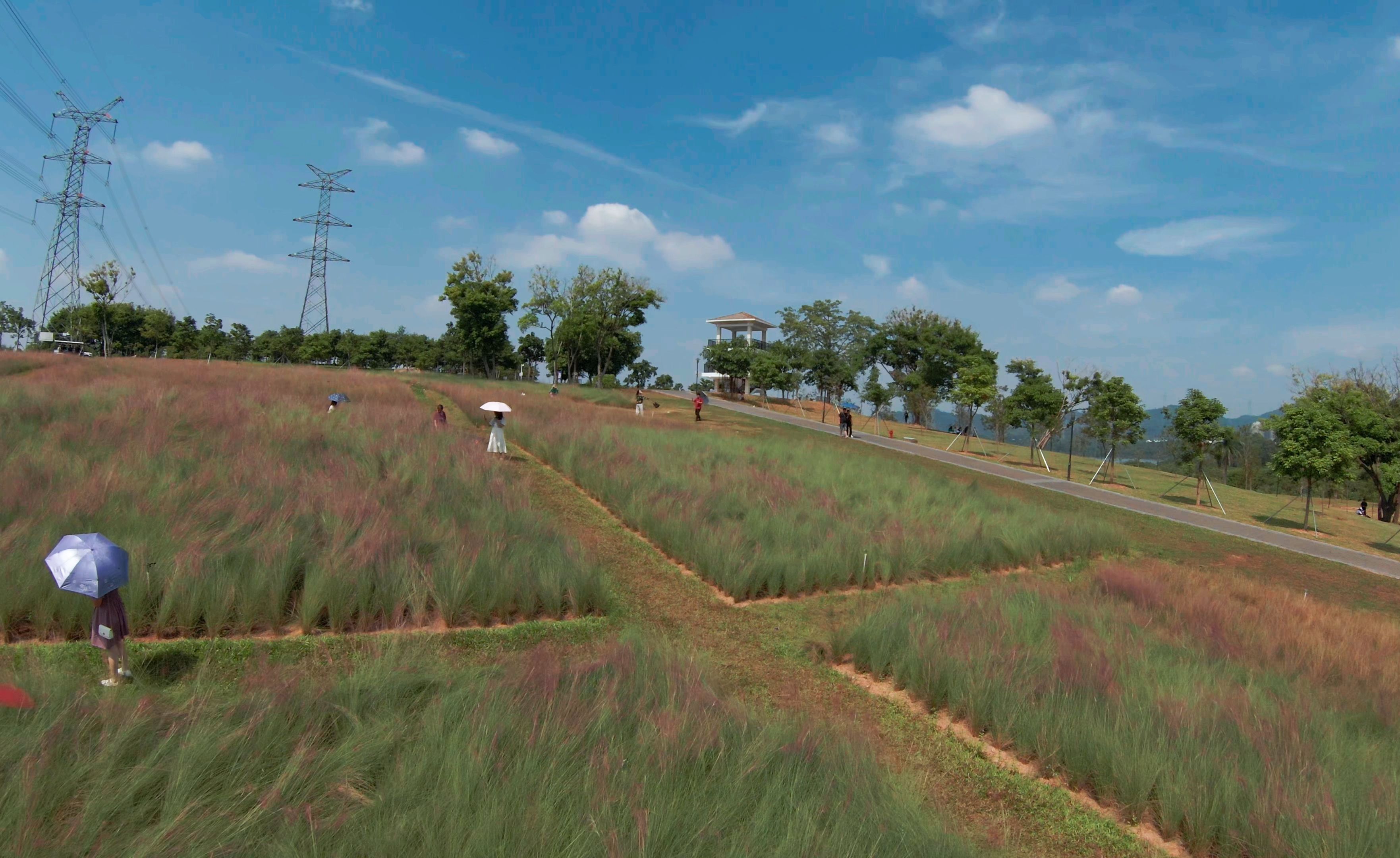 【juincen_fpv】深圳石岩陌上花开公园by大疆fpv