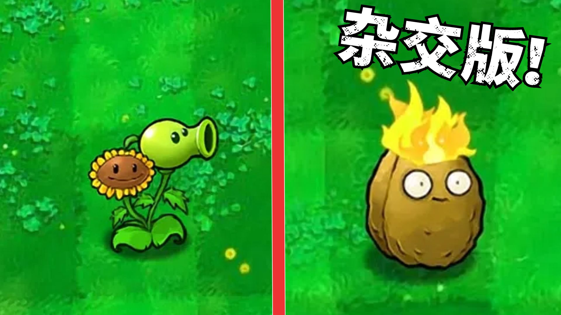 杂交版植物大战僵尸?炎头队长,启动!