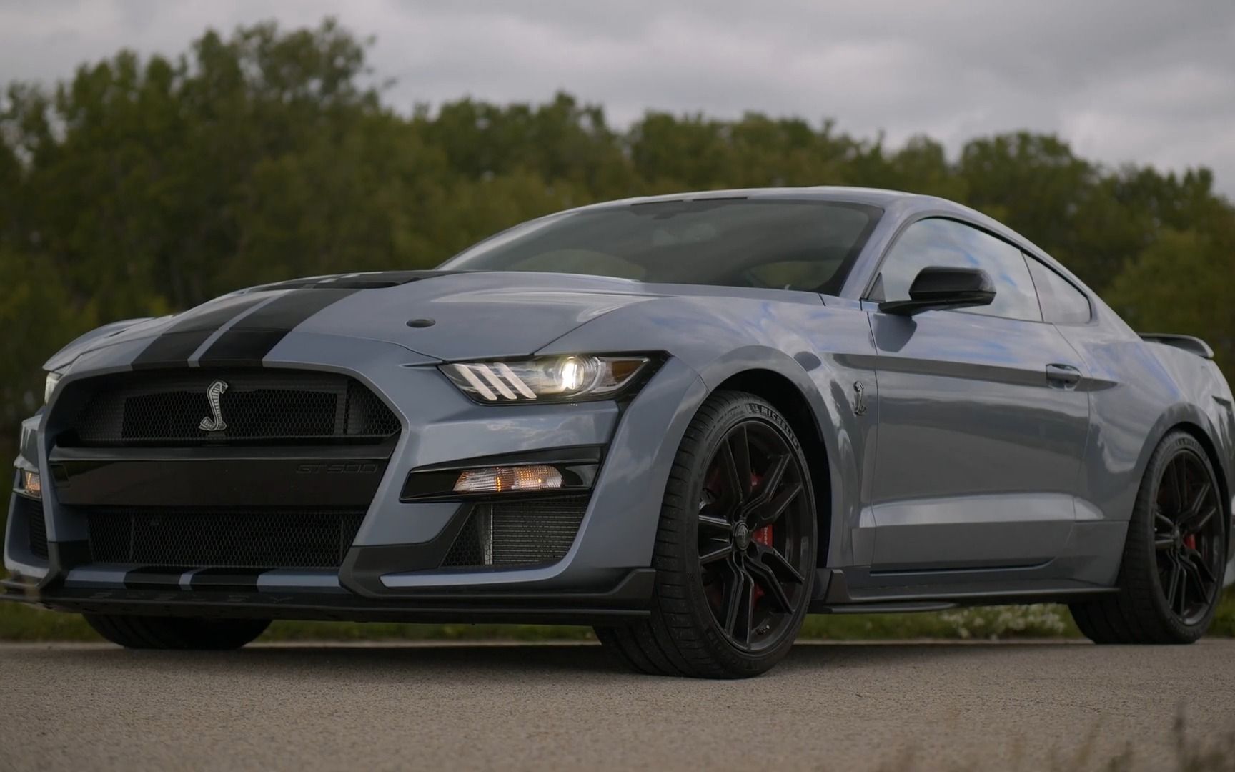 shelby mustang gt500 heritage | changing from man to ape