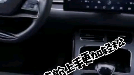 #China汉 您知道BYD是什么吗?哔哩哔哩bilibili