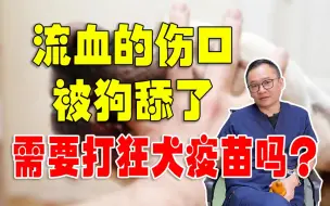 Download Video: 狂犬疫苗10日观察法，到底靠不靠谱？