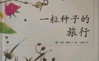 绘本推荐《一粒种子的旅行》,文字生动,插图精彩,充满艺术感.哔哩哔哩bilibili