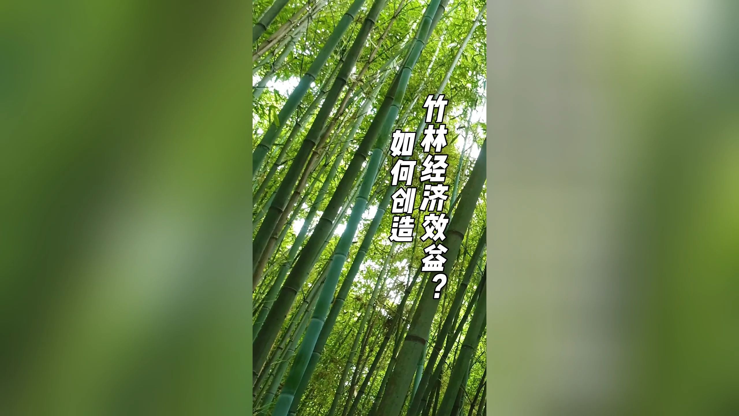 如何创造竹林经济效益哔哩哔哩bilibili