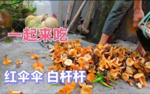 Download Video: 和老妈进山去扫荡收货满满，晚上就用大锅炖土鸡，味道真是绝了！