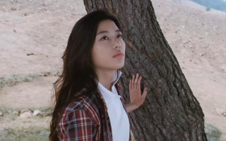 我的野蛮女友-全智贤(cut)