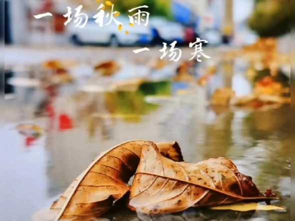 一场秋雨一场寒今日秋分,9.22~11月22进入五之气少阴君火加临阳明燥金,应注意感冒,咳嗽易迁延不愈!建议金沸草散加减,注意清上焦郁热~哔哩哔哩...