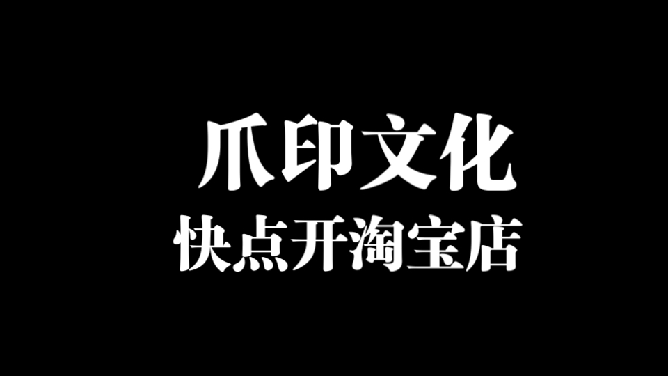 爪印文化你快点开一个淘宝店哔哩哔哩bilibili