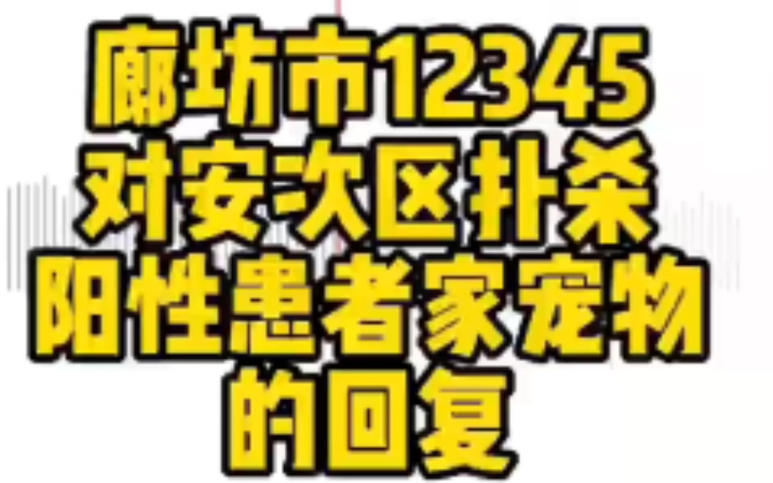 【新闻】廊坊安次区 开展阳性患者家中动物扑杀哔哩哔哩bilibili