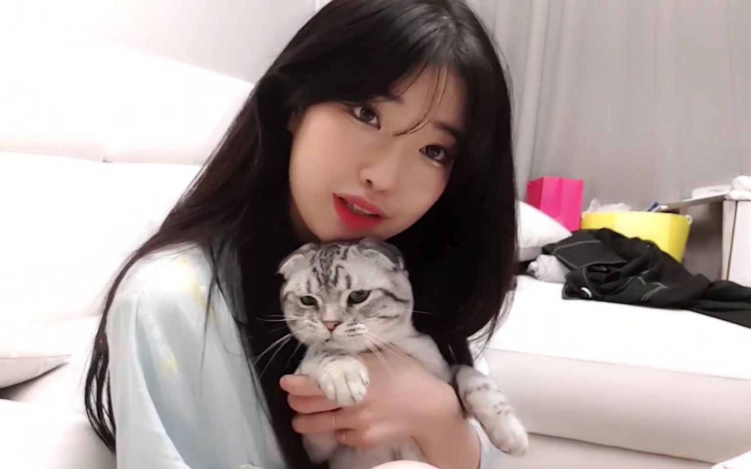 和我家猫咪的幸福生活【果汁世妍】