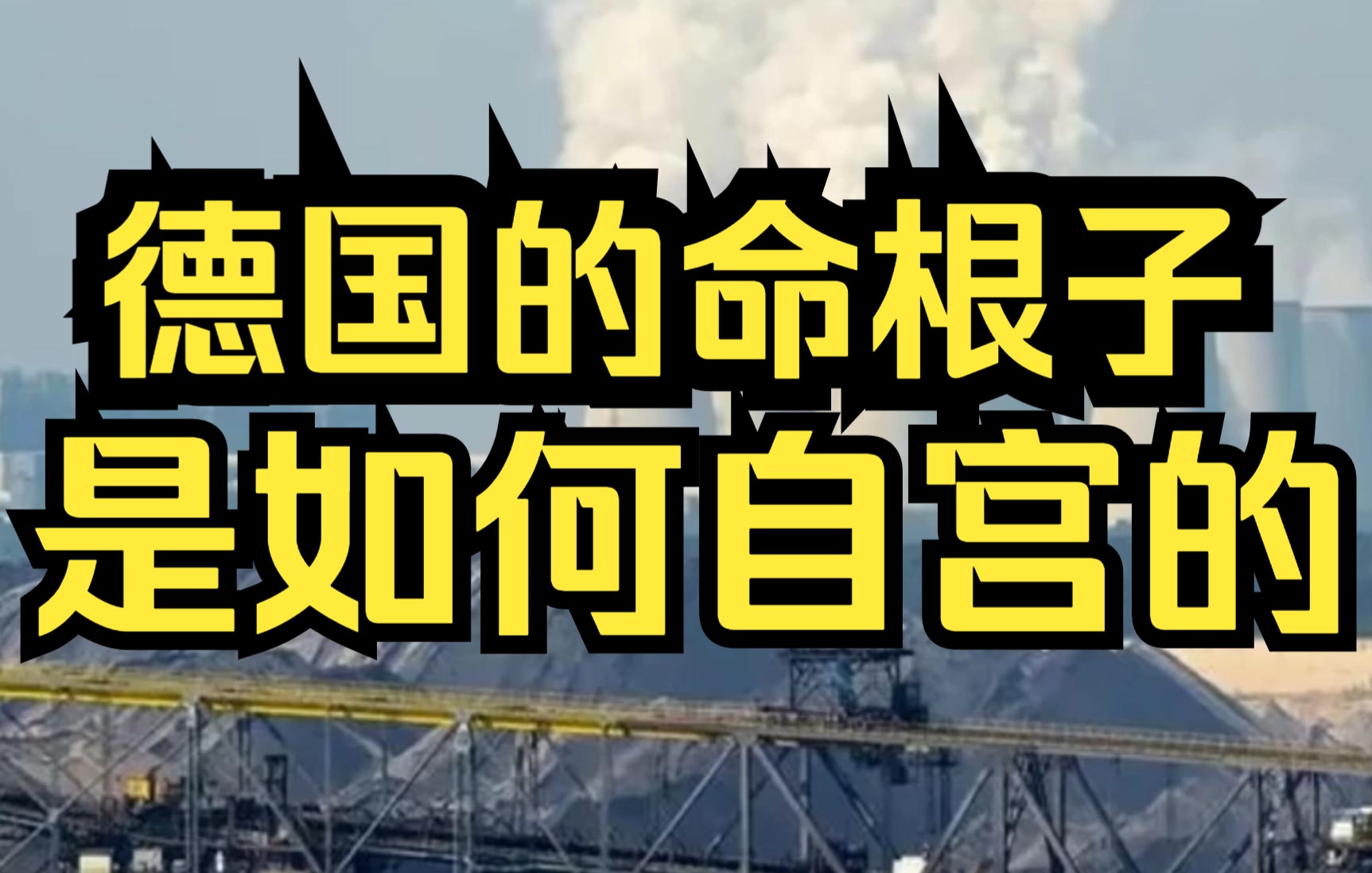 德国的命根子是如何自宫的,为什么会被普京抓住?哔哩哔哩bilibili