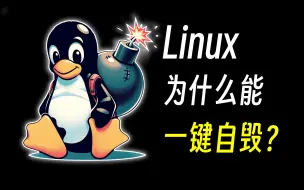 Скачать видео: 为什么Linux能一键自毁，为什么Windows不行？