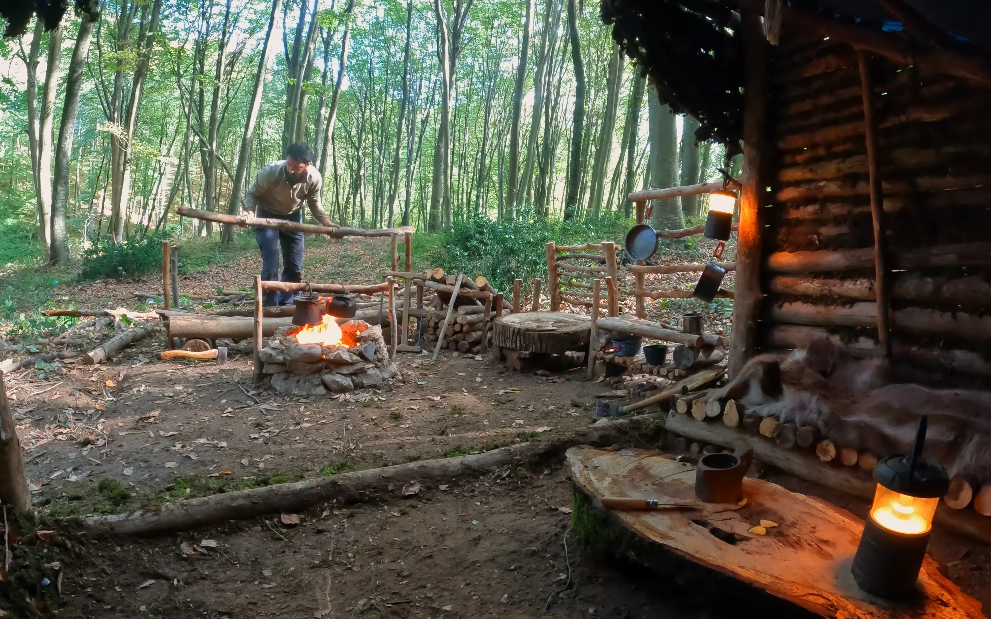 荒野生存:3天建造一个丛林大庇护所并享受蘑菇做饭