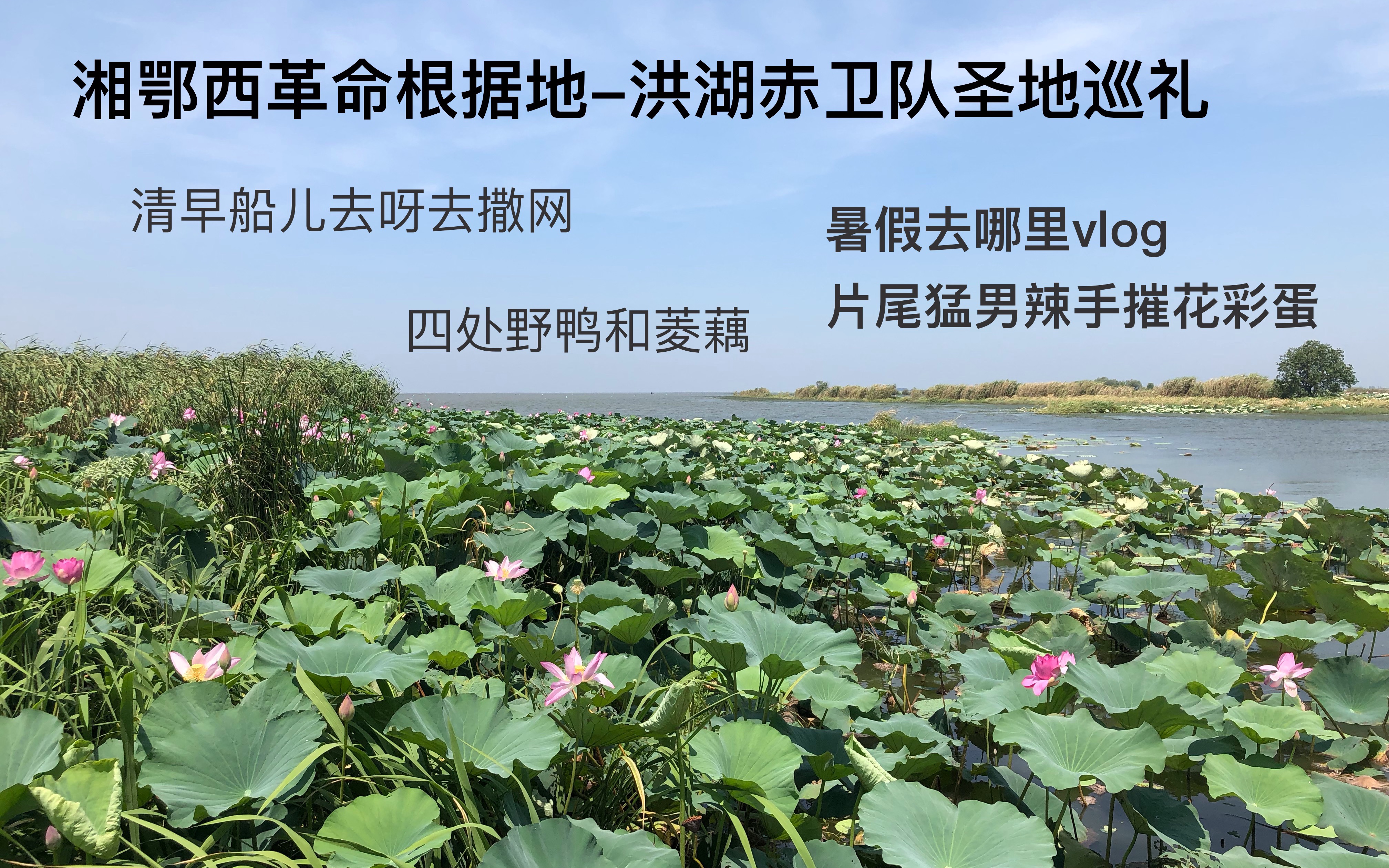 [图]暑假去哪玩？仲夏带家人红色旅游，游湖摘莲蓬折荷花吃湖鲜，美得很。洪湖水浪打浪，洪湖赤卫队巡礼；老人非常开心