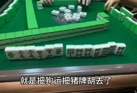 Download Video: 《雷军说麻将》